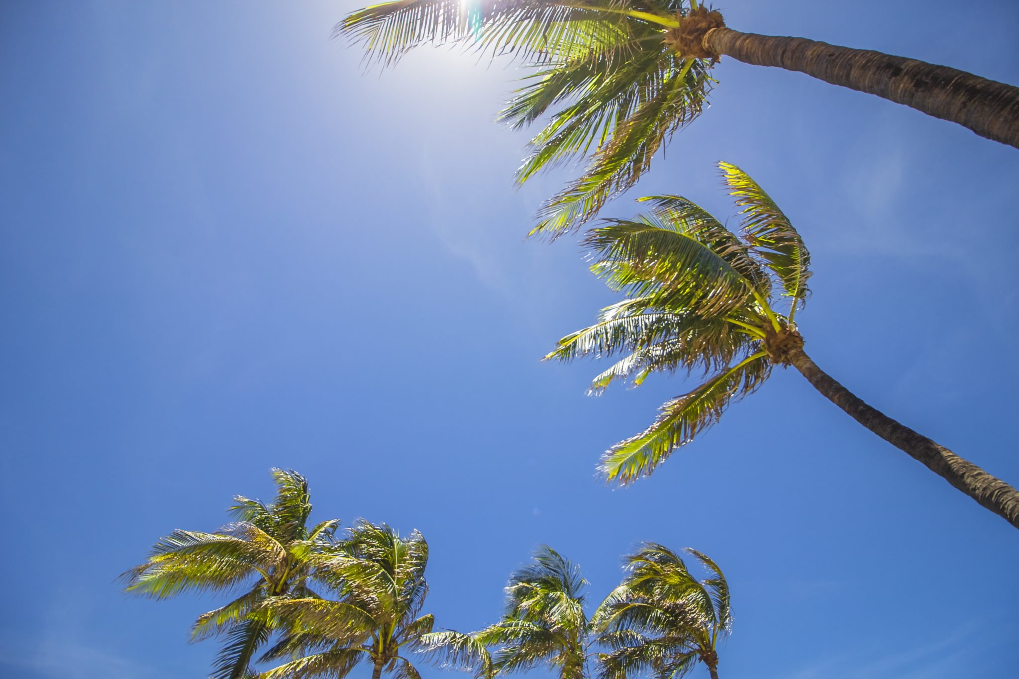 Tout savoir sur Miami Tout savoir sur Miami