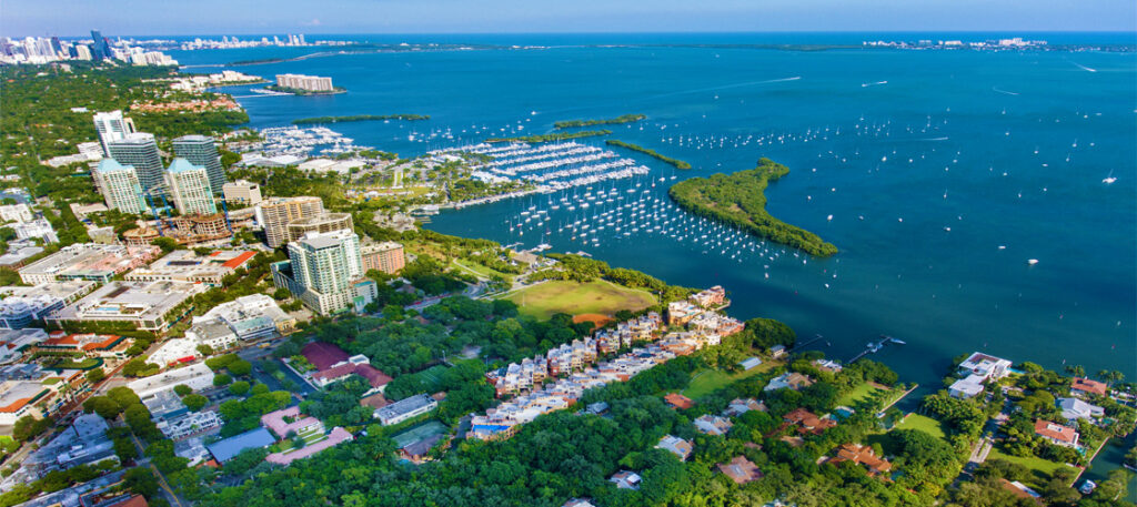 Coconut grove view